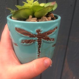 Really cute plant decoration